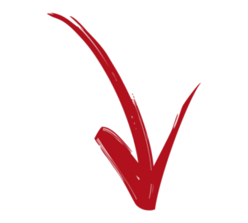 freccia fsv